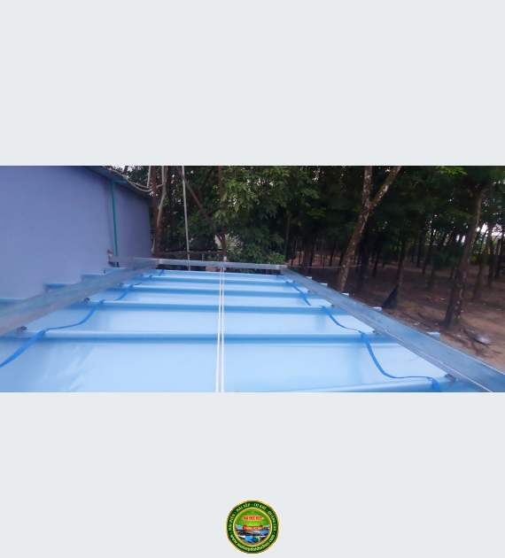 Thi Công Mái Xếp Tại phú an TP.HCM – Đẹp Bền – Che Nắng Mưa Cực Chuẩn!